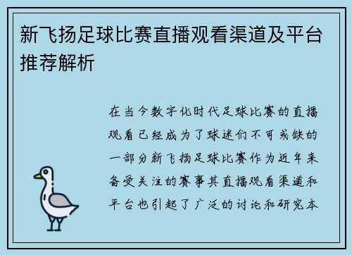 新飞扬足球比赛直播观看渠道及平台推荐解析